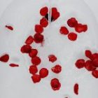  Influencer-Marketing zum Valentinstag: So nutzen Marken die Chance
